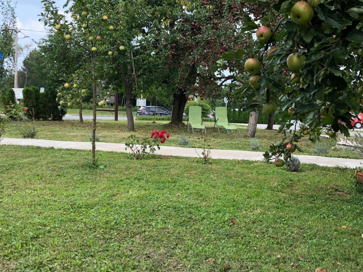 גרבובץ Guest House Ema מראה חיצוני תמונה